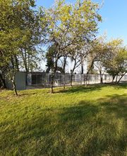 Cani Services image 16