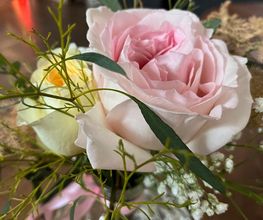 Les Petites Fleurs Modèles image 1