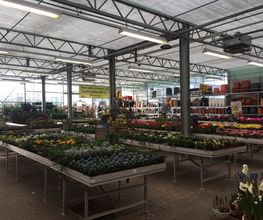 Pirig Gartencenter Bild 9