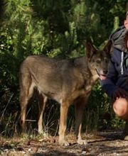 Geistheiler Niedersachsen | Oliver Wattenberg Bild 1