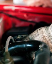 Dan's Body Shop image 13