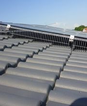 Taubenschutz & Consulting Bild 1