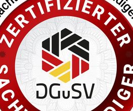 Dach Sachverständiger Rainer Simon Bild 4