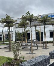 Sequoia Paysage image 8