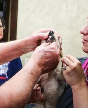 Shawnee Animal Hospital image 13