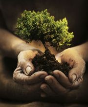 Lejeune Alain image 1