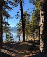 Rimrock Lake Resort image 18