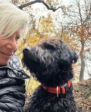 Neue Wege Hypnose-Therapie-Entspannung Bild 8
