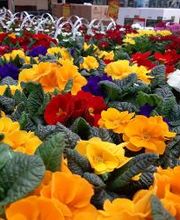 HELLWEG - Die Profi-Baumärkte Essen Bild 2