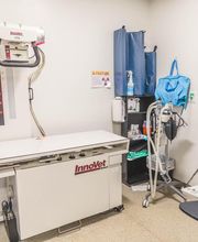 Short Pump Animal Hospital image 16