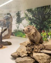 World Nature Forum Bild 3