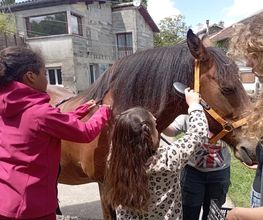 Equin' Anima image 1