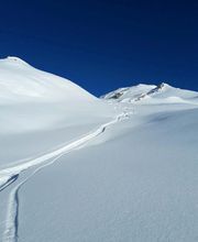 Alp Agence image 19
