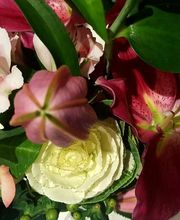 La Boite A Fleurs image 5