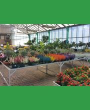 Notre Jardin Propre image 18