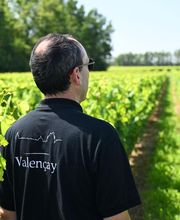 EARL HUBERT ET OLIVIER SINSON image 7