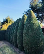 Un Jardin A Votre Image image 13