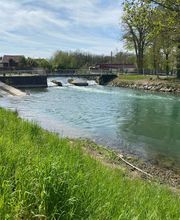 Psycab Marie José Abuzakuk image 4