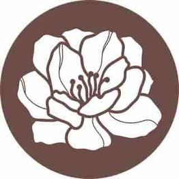 Izabela Stan Zahno Psychologue-psychothérapeute FSP, Praticienne EMDR et Coach professionnelle certifiée