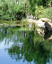 Eurowaterland image 18