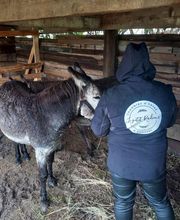 LE PETIT RADIEUX image 2