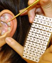 Richard Garcia Aurelia image 11