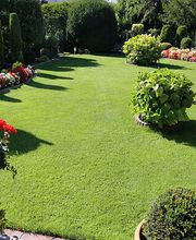 Baum & Garten LumberLex GmbH Bild 3