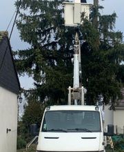 Brac José Elagage Abattage 18 image 14