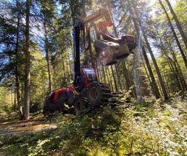 Passion Forêt SA Bild 3