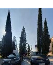 Wenea imagen 1