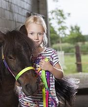 Kinderbauernhof Wigger Bild 6