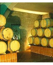 Störrlein Krenig Bild 3