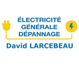 Larcebeau David image 1