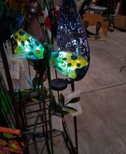 Evans Nursery LLC image 5