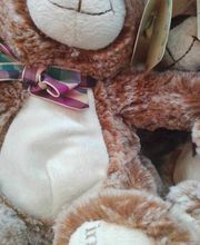 Floristería Manuela imagen 5