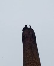 Kaminfegergeschäft Segessenmann Bild 5