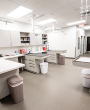 Cainhoy Veterinary Hospital image 7