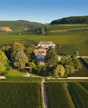 Maison Louis Latour image 9