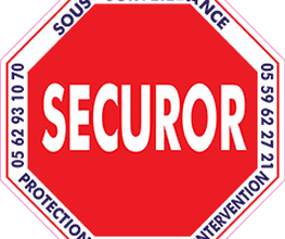 SECUROR image 6