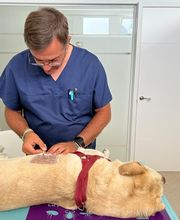 Clínica Veterinaria Roncal - Pilas imagen 10