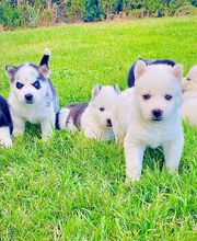 El Edén de Lilith imagen 11