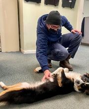 Crossfield Heating & Air Conditioning image 13