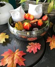 Restaurant "Haus Breuing" Bild 9