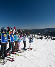 Wintersportschule Thoma | Feldberg Bild 9