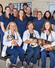 Willowbrook Veterinary Clinic image 3