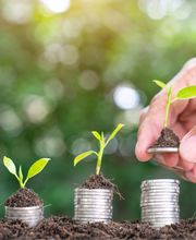 VRK Agentur Valentin Rauch Bild 2