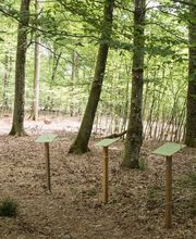 FriedWald Rümmingen Bild 7