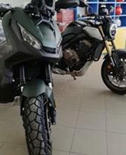 Gallery Cliente