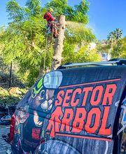 Sector Arbol imagen 12