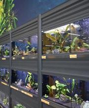 DAS FUTTERHAUS - Vechta Bild 6